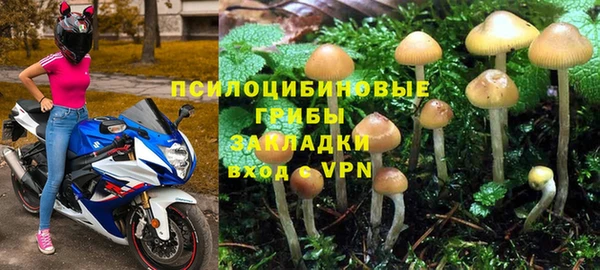 mdpv Каменск-Шахтинский