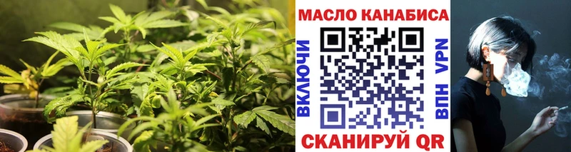 Дистиллят ТГК Wax  купить наркотики сайты  Камешково 