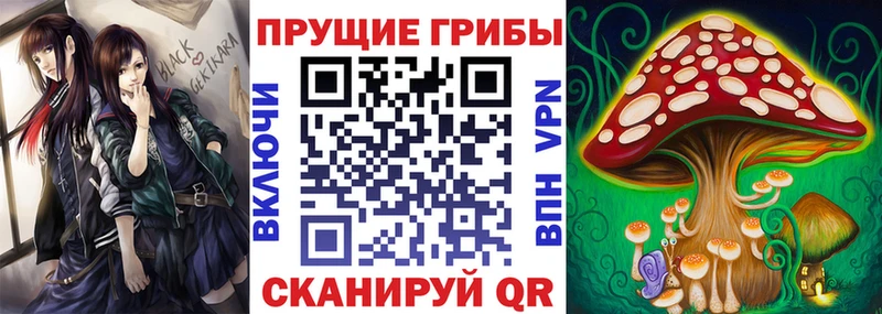 Псилоцибиновые грибы Psilocybine cubensis  Камешково 